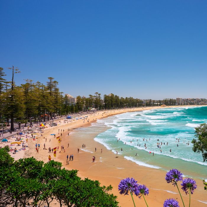 Manly Beach view
